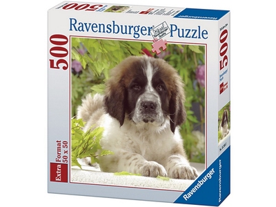 Puzzle Cani - Cucciolo di San Bernardo 500