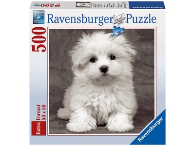 Puzzle Cani - Cucciolo di Maltese 500 pezzi