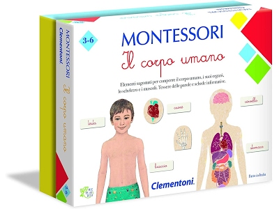 Montessori - Il Corpo Umano