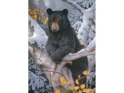 Puzzle Black Bear 1000 pezzi